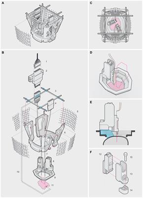 In vivo recordings in freely behaving mice using independent silicon probes targeting multiple brain regions